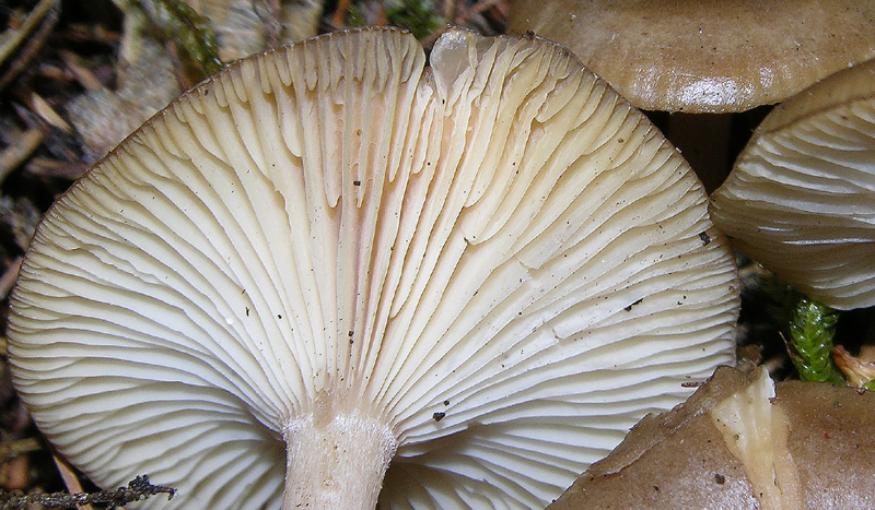 Qualche segno di vita....